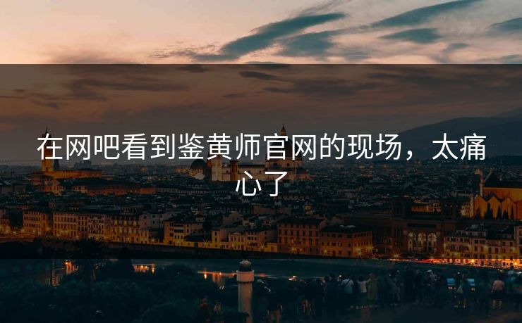 在网吧看到鉴黄师官网的现场，太痛心了