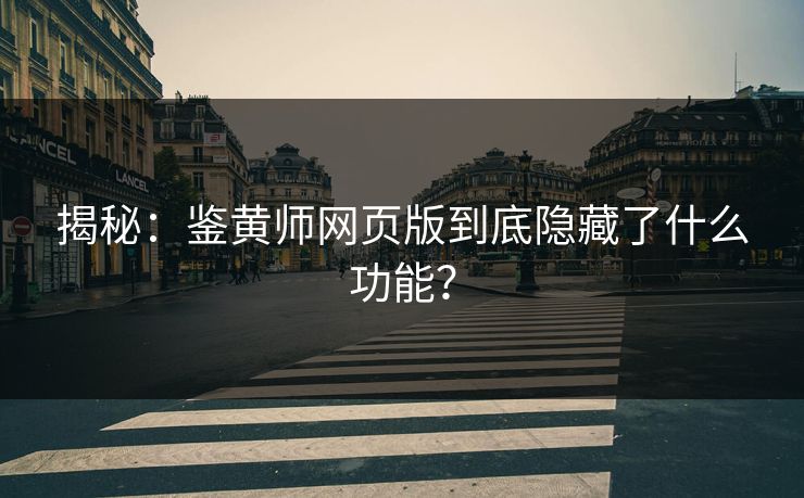 揭秘：鉴黄师网页版到底隐藏了什么功能？