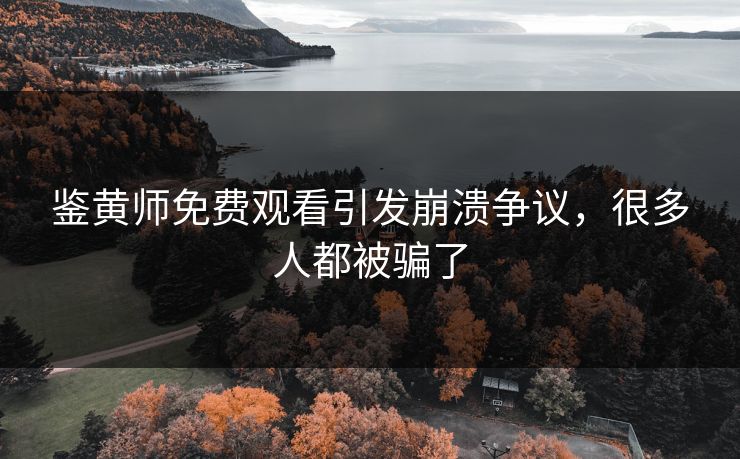 鉴黄师免费观看引发崩溃争议，很多人都被骗了