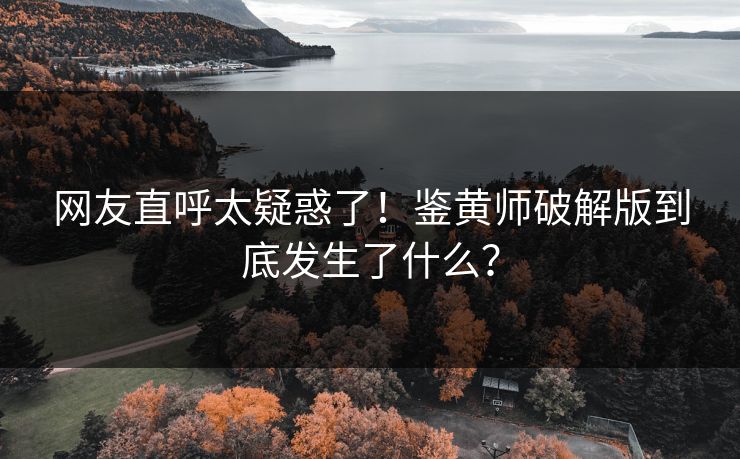 网友直呼太疑惑了！鉴黄师破解版到底发生了什么？