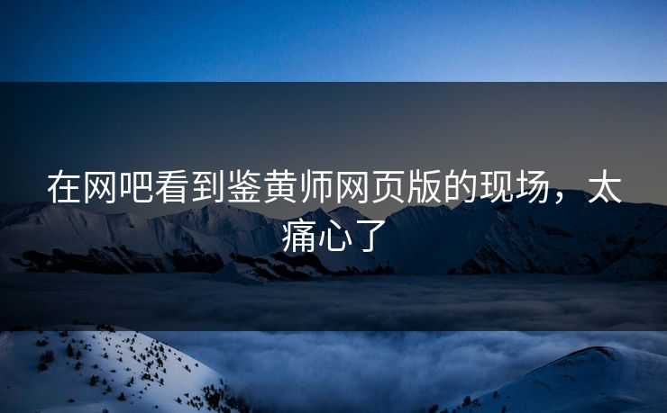 在网吧看到鉴黄师网页版的现场，太痛心了