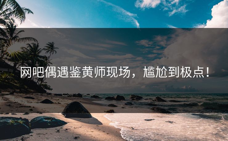 网吧偶遇鉴黄师现场，尴尬到极点！