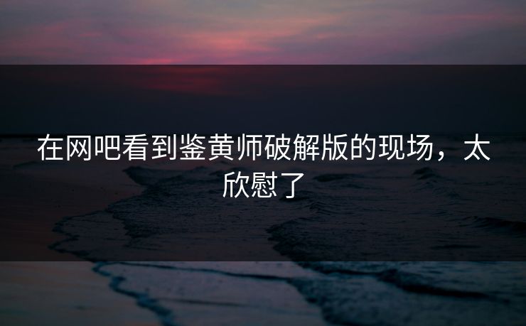 在网吧看到鉴黄师破解版的现场，太欣慰了