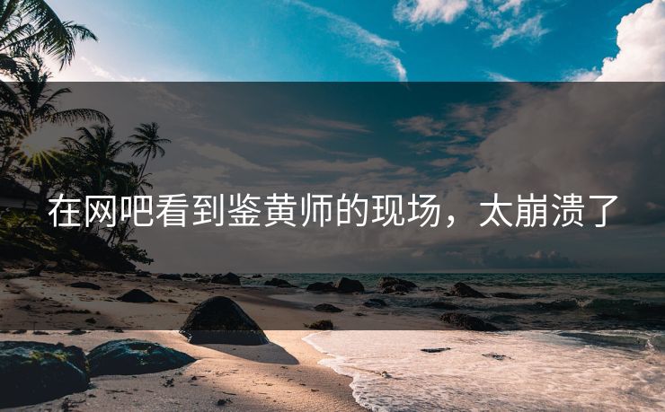 在网吧看到鉴黄师的现场，太崩溃了