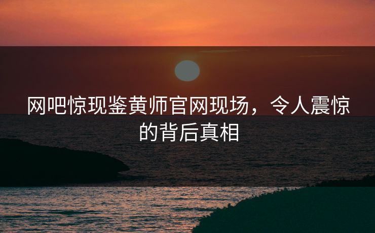 网吧惊现鉴黄师官网现场，令人震惊的背后真相