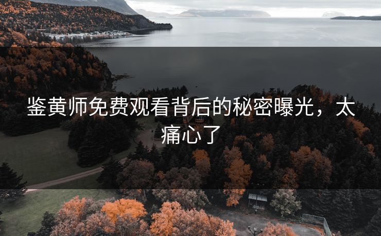 鉴黄师免费观看背后的秘密曝光，太痛心了
