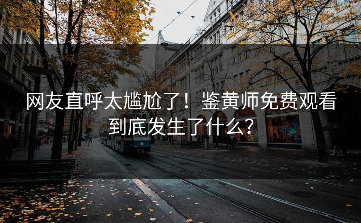 网友直呼太尴尬了！鉴黄师免费观看到底发生了什么？