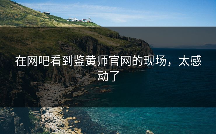 在网吧看到鉴黄师官网的现场，太感动了