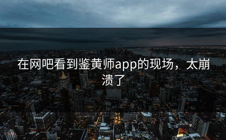 在网吧看到鉴黄师app的现场，太崩溃了