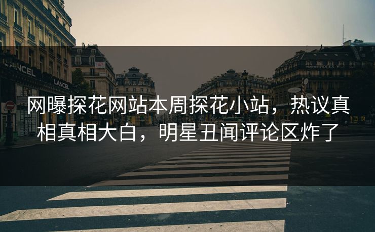 网曝探花网站本周探花小站，热议真相真相大白，明星丑闻评论区炸了