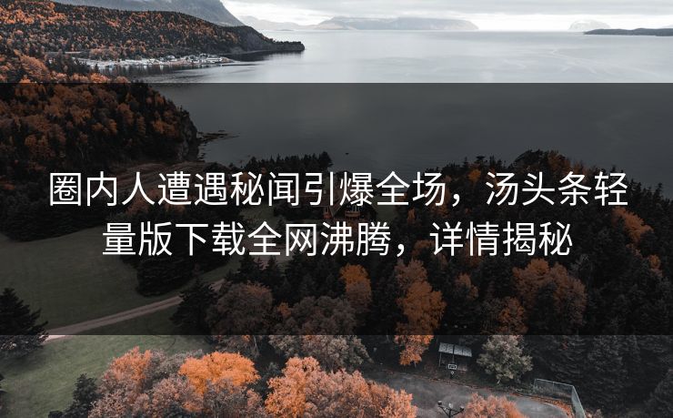 圈内人遭遇秘闻引爆全场，汤头条轻量版下载全网沸腾，详情揭秘